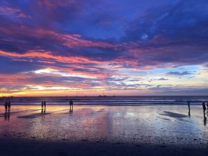 Tamarindo Beach Costa Rica: The Ultimate Travel Guide for First-Time Visitors